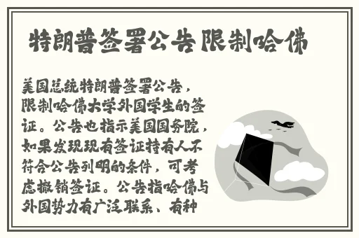 麻豆国产精品VA在线观看不卡